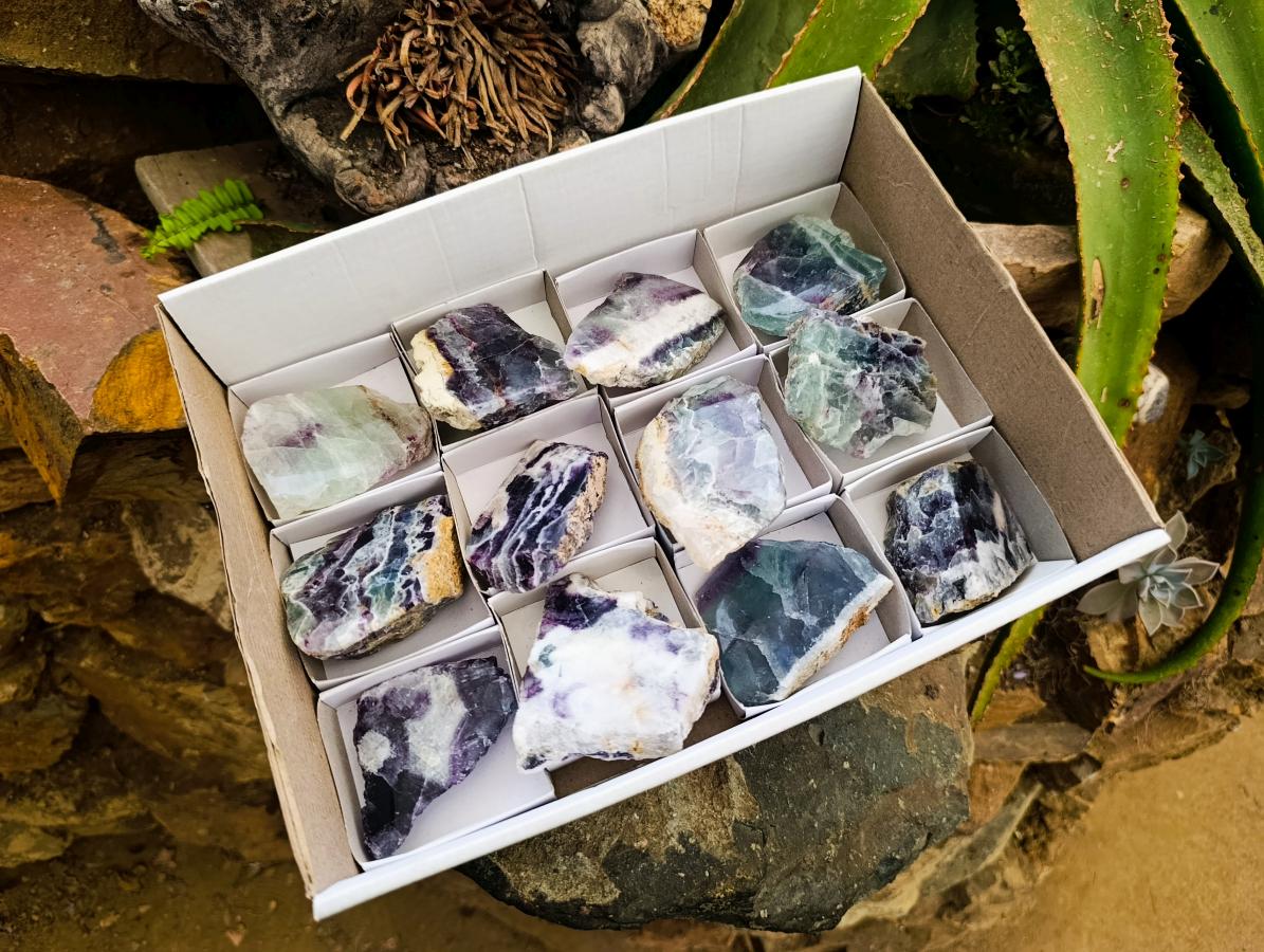 Polished On One Side Watermelon Fluorite Slices x 12 From Uis, Namibia