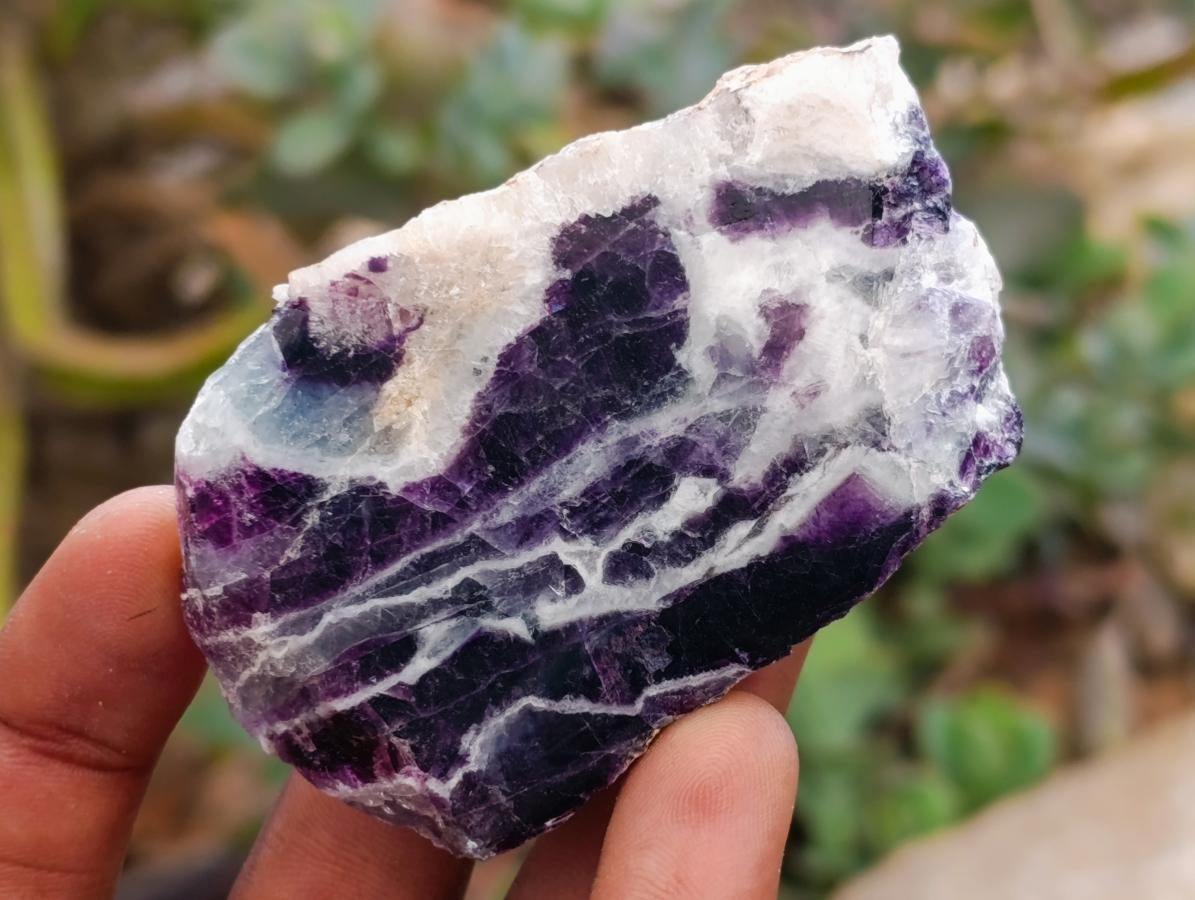 Polished On One Side Watermelon Fluorite Slices x 12 From Uis, Namibia