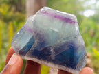 Polished On One Side Watermelon Fluorite Slices x 12 From Uis, Namibia