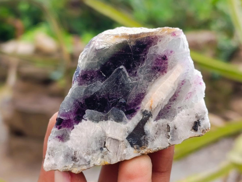 Polished On One Side Watermelon Fluorite Slices x 12 From Uis, Namibia