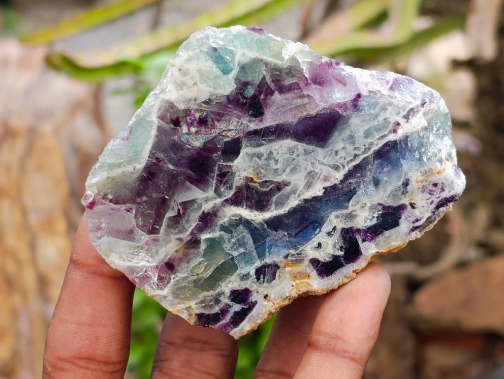 Polished On One Side Watermelon Fluorite Slices x 12 From Uis, Namibia