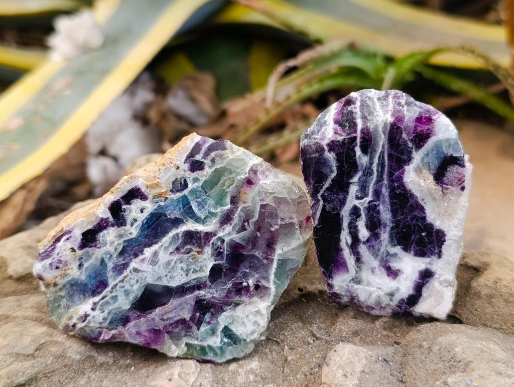 Polished On One Side Watermelon Fluorite Slices x 12 From Uis, Namibia