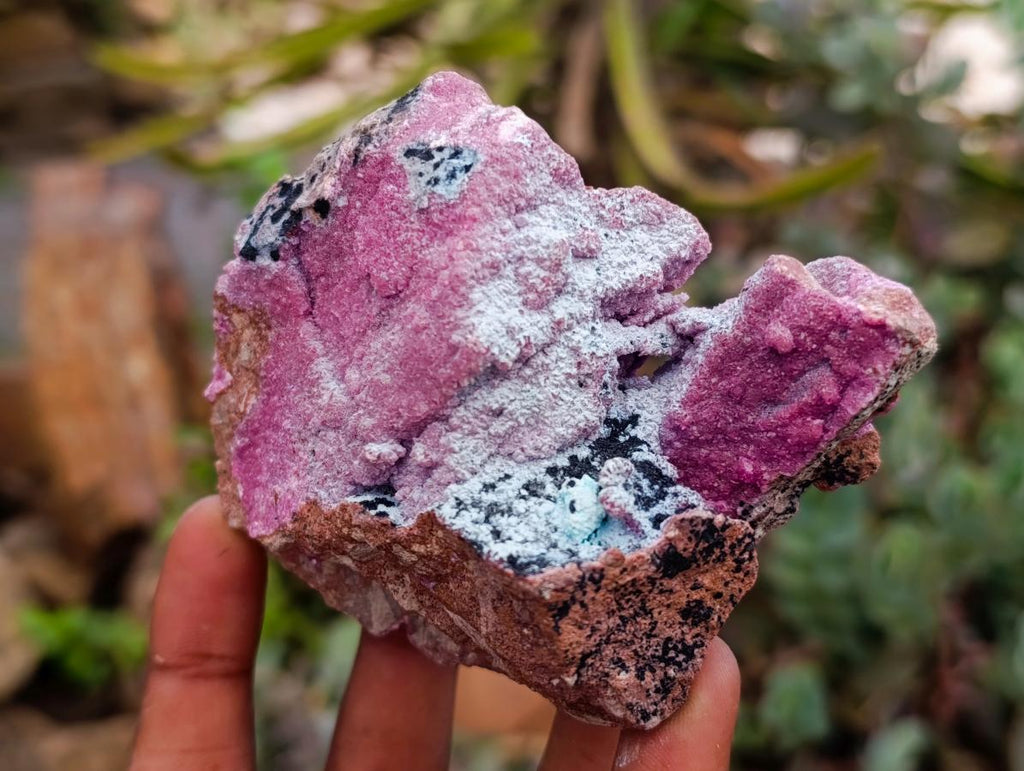 Natural Salrose Cobaltion Dolomite Specimens with Chrysocolla and Malachite x 6 From Kakanda, Congo
