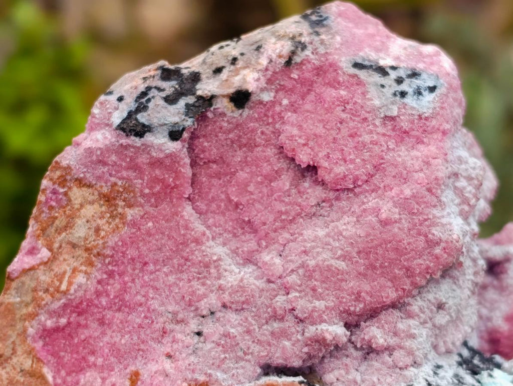 Natural Salrose Cobaltion Dolomite Specimens with Chrysocolla and Malachite x 6 From Kakanda, Congo