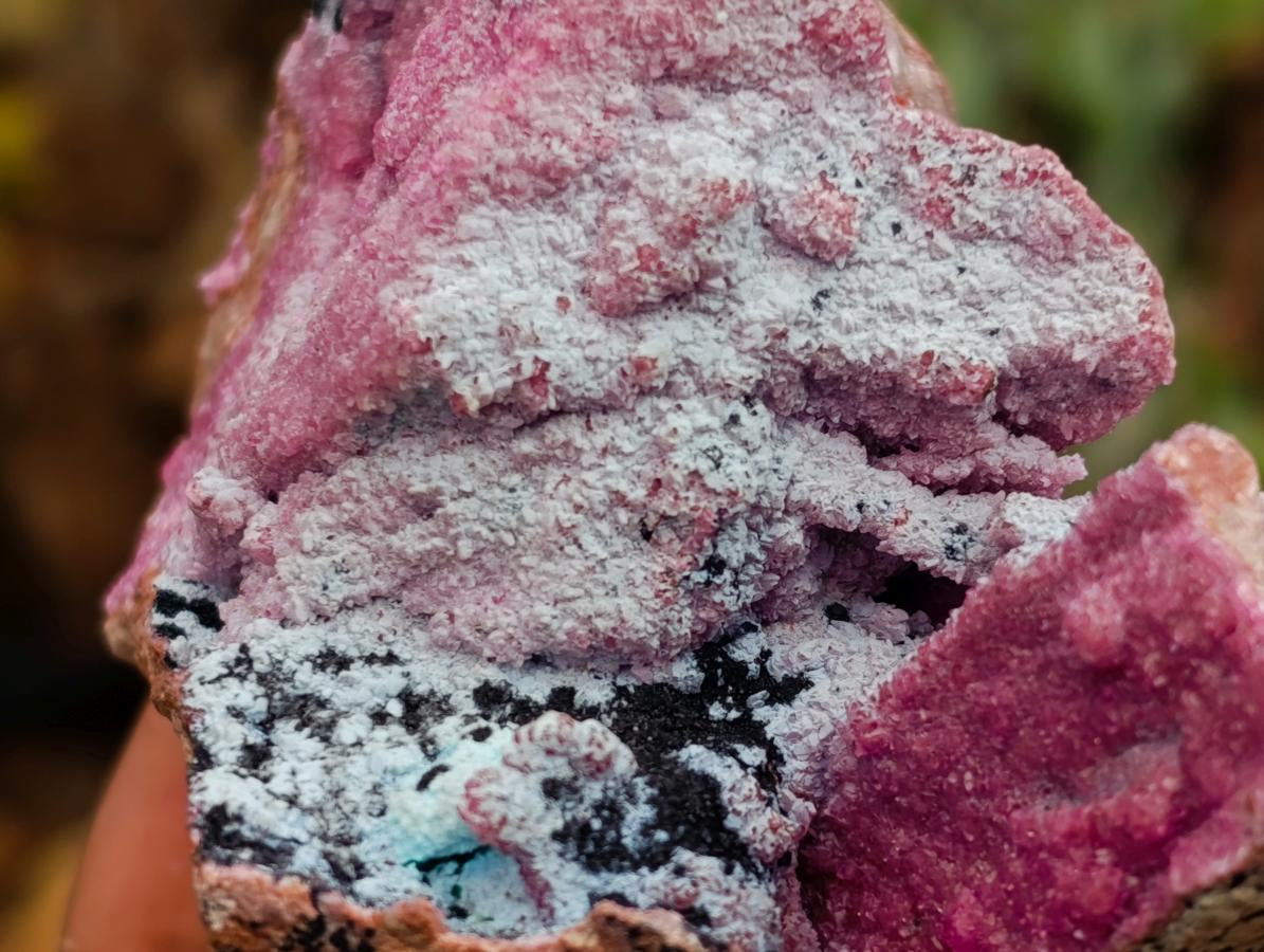 Natural Salrose Cobaltion Dolomite Specimens with Chrysocolla and Malachite x 6 From Kakanda, Congo