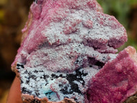 Natural Salrose Cobaltion Dolomite Specimens with Chrysocolla and Malachite x 6 From Kakanda, Congo