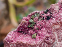 Natural Salrose Cobaltion Dolomite Specimens with Chrysocolla and Malachite x 6 From Kakanda, Congo