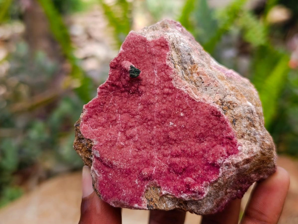Natural Salrose Cobaltion Dolomite Specimens with Chrysocolla and Malachite x 6 From Kakanda, Congo