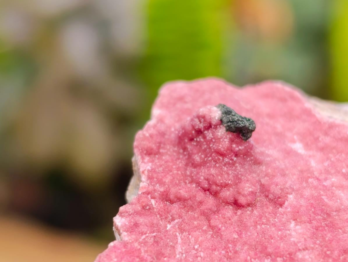 Natural Salrose Cobaltion Dolomite Specimens with Chrysocolla and Malachite x 6 From Kakanda, Congo