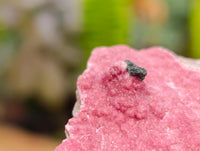 Natural Salrose Cobaltion Dolomite Specimens with Chrysocolla and Malachite x 6 From Kakanda, Congo