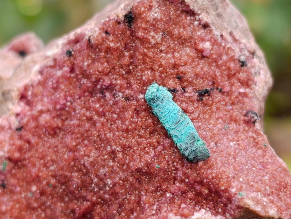Natural Salrose Cobaltion Dolomite Specimens with Chrysocolla and Malachite x 6 From Kakanda, Congo