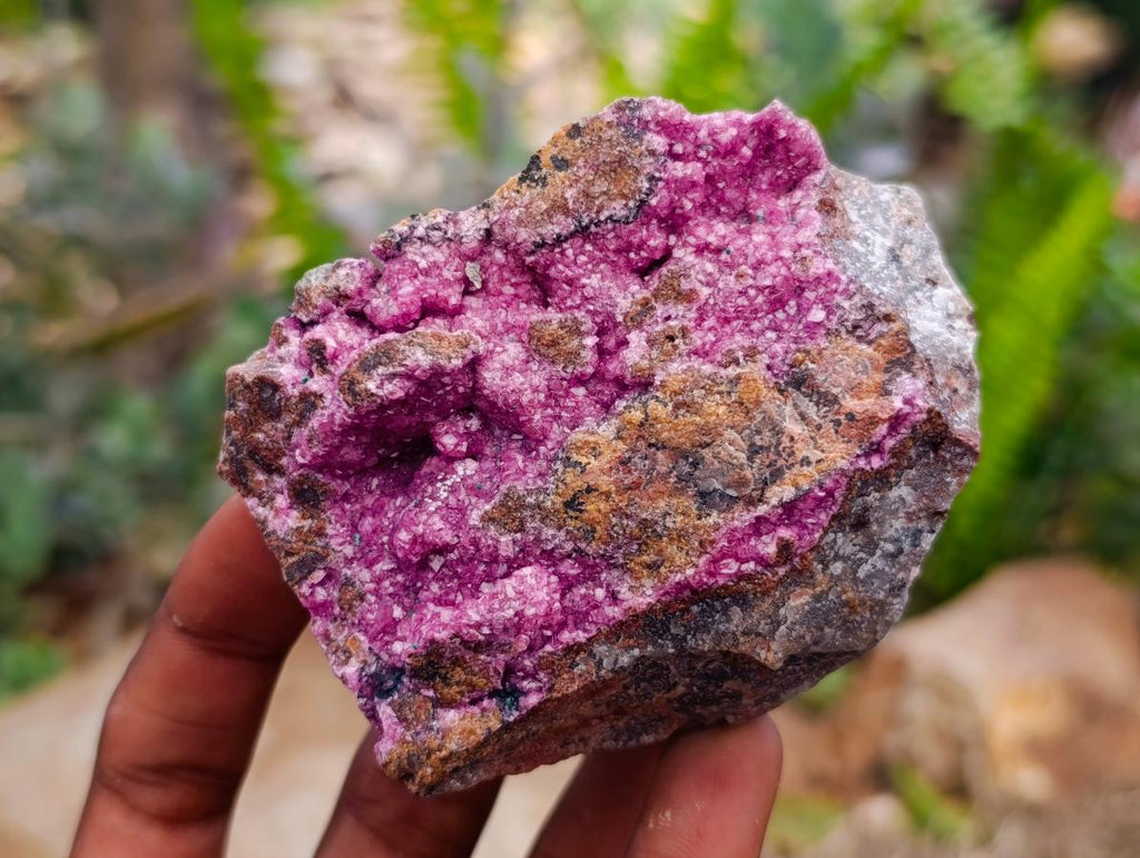 Natural Salrose Cobaltion Dolomite Specimens with Chrysocolla and Malachite x 6 From Kakanda, Congo