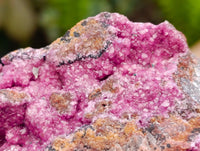 Natural Salrose Cobaltion Dolomite Specimens with Chrysocolla and Malachite x 6 From Kakanda, Congo