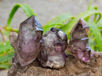 Natural Window Amethyst Crystals x 70 From Chiredzi, Zimbabwe