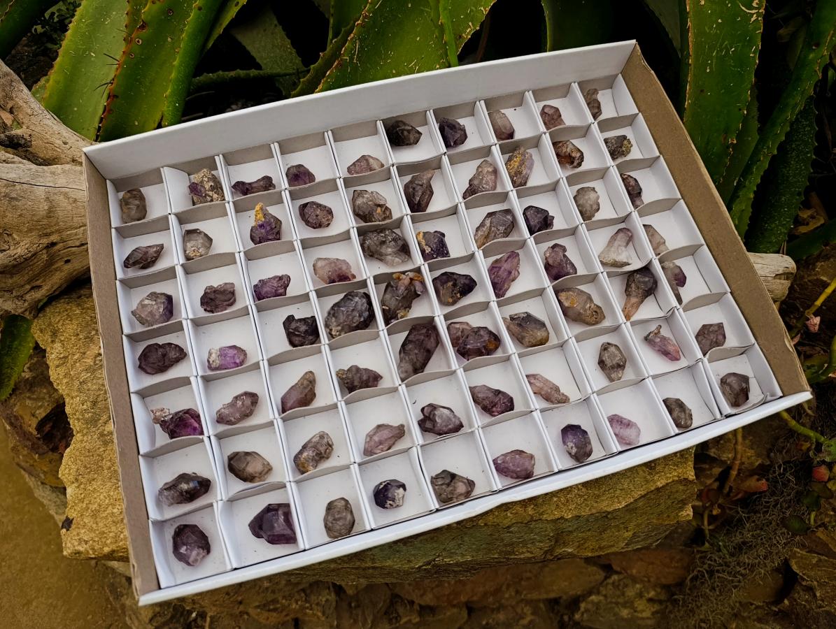 Natural Window Amethyst Crystals x 70 From Chiredzi, Zimbabwe