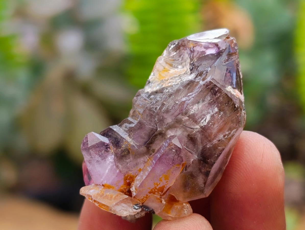 Natural Window Amethyst Crystals x 70 From Chiredzi, Zimbabwe