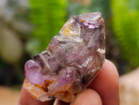 Natural Window Amethyst Crystals x 70 From Chiredzi, Zimbabwe