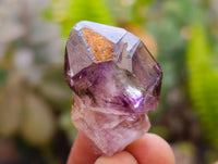 Natural Window Amethyst Crystals x 70 From Chiredzi, Zimbabwe