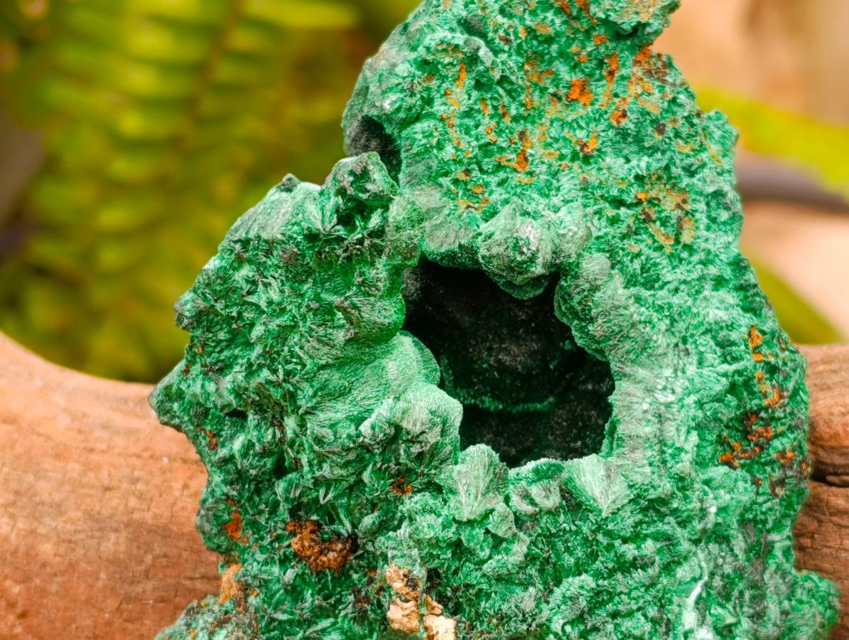 Natural Silky Malachite Specimens x 3 From Kasompe, Congo