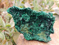 Natural Silky Malachite Specimens x 3 From Kasompe, Congo