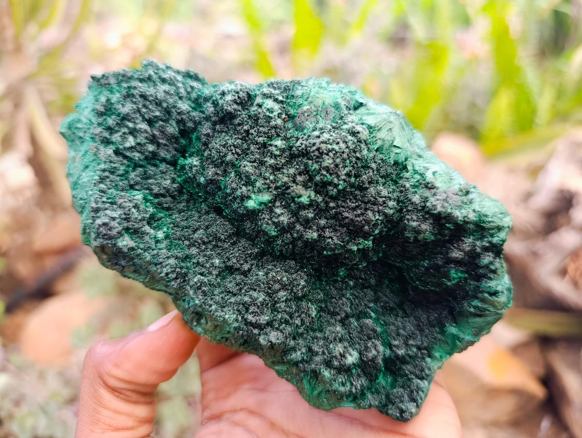 Natural Silky Malachite Specimens x 3 From Kasompe, Congo