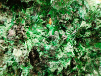 Natural Silky Malachite Specimens x 3 From Kasompe, Congo