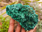 Natural Silky Malachite Specimens x 3 From Kasompe, Congo