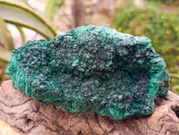 Natural Silky Malachite Specimens x 3 From Kasompe, Congo