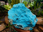 Natural Chrysocolla On Dolomite Specimen x 1 From Kolwezite, Congo