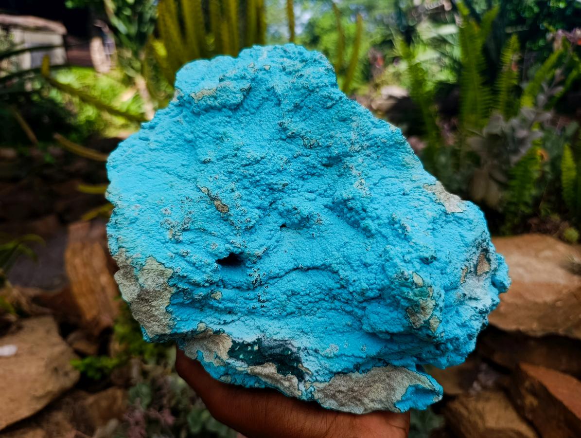 Natural Chrysocolla On Dolomite Specimen x 1 From Kolwezite, Congo