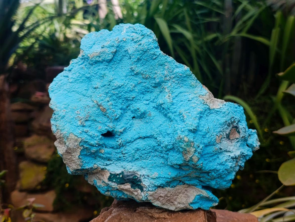 Natural Chrysocolla On Dolomite Specimen x 1 From Kolwezite, Congo