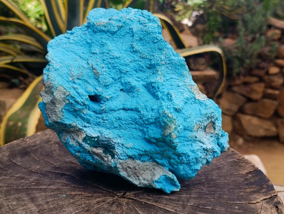 Natural Chrysocolla On Dolomite Specimen x 1 From Kolwezite, Congo