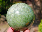 Polished Green Chrysoprase Spheres x 6 From Ambatondrazaka, Madagascar