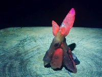 Natural Drusy Quartz Coated Spearhead Calcite Specimens x 12 From Albert's Mountain, Lesotho