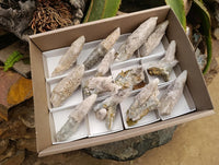 Natural Drusy Quartz Coated Spearhead Calcite Specimens x 12 From Albert's Mountain, Lesotho