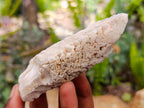 Natural Drusy Quartz Coated Spearhead Calcite Specimens x 12 From Albert's Mountain, Lesotho
