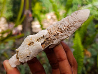 Natural Drusy Quartz Coated Spearhead Calcite Specimens x 12 From Albert's Mountain, Lesotho