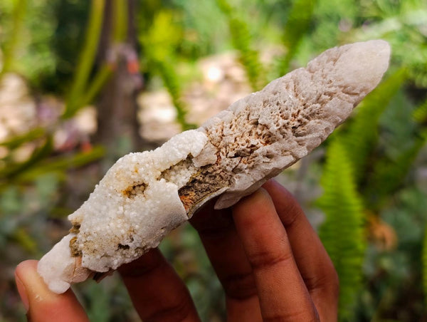 Natural Drusy Quartz Coated Spearhead Calcite Specimens x 12 From Albert's Mountain, Lesotho