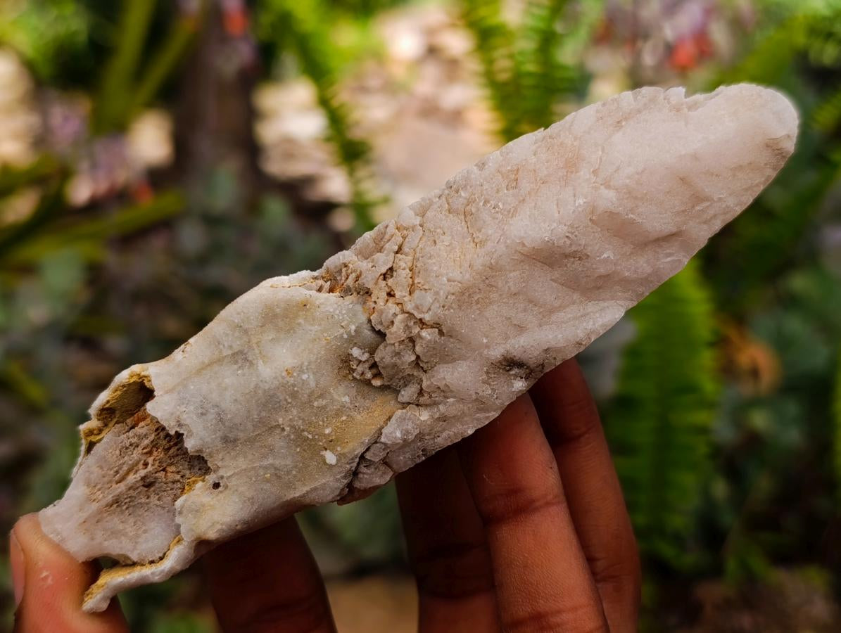Natural Drusy Quartz Coated Spearhead Calcite Specimens x 12 From Albert's Mountain, Lesotho