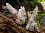 Natural Drusy Quartz Coated Spearhead Calcite Specimens x 12 From Albert's Mountain, Lesotho