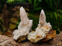 Natural Drusy Quartz Coated Spearhead Calcite Specimens x 12 From Albert's Mountain, Lesotho