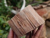 Polished On One Side Petrified Wood Branches x 3 From Gokwe, Zimbabwe