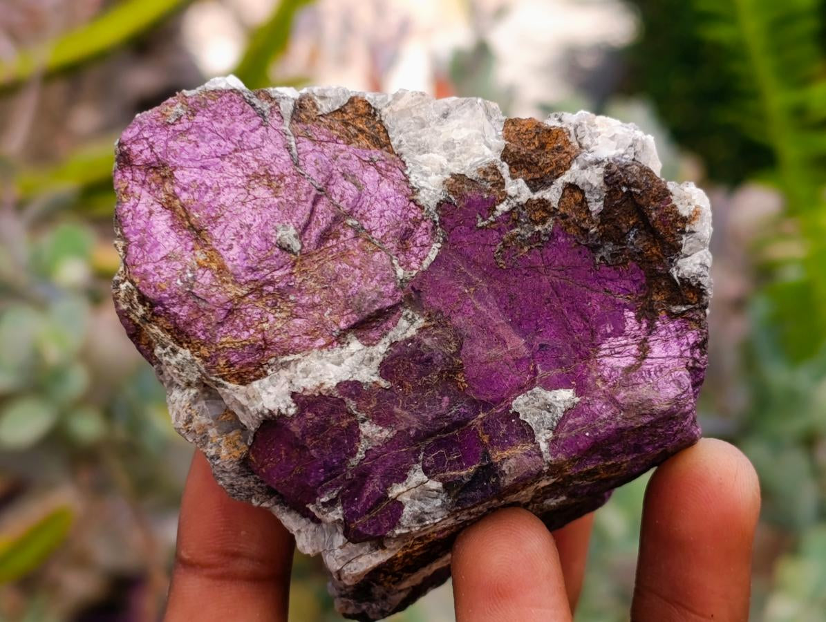 Natural Metallic Purpurite Specimens x 6 From Erongo, Namibia