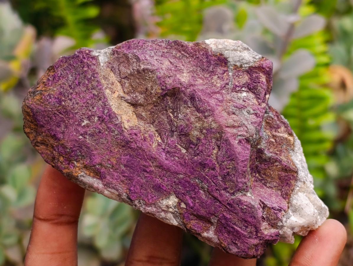 Natural Metallic Purpurite Specimens x 6 From Erongo, Namibia