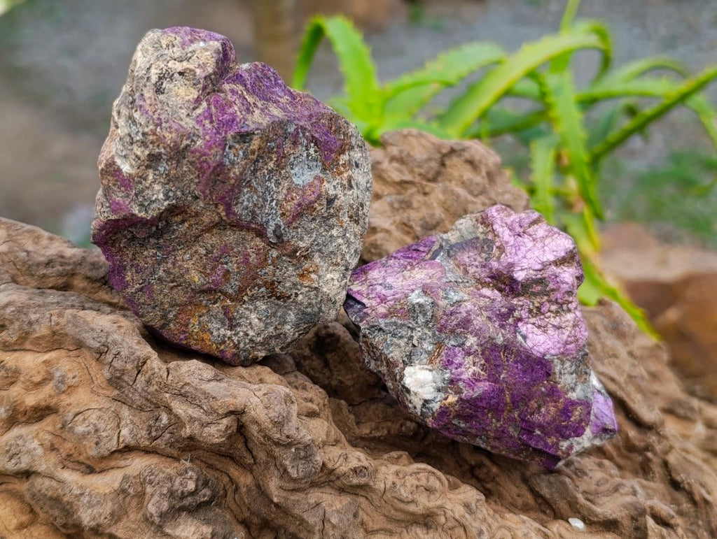 Natural Metallic Purpurite Specimens x 6 From Erongo, Namibia
