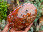 Polished Polychrome Jasper and Petrified Wood Standing Free Forms x 2 From Madagascar