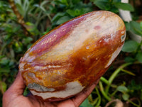 Polished Polychrome Jasper and Petrified Wood Standing Free Forms x 2 From Madagascar