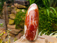 Polished Polychrome Jasper and Petrified Wood Standing Free Forms x 2 From Madagascar