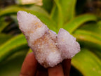 Natural Ametrine Spirit Quartz Crystal Clusters x 12 From Boekenhouthoek, South Africa