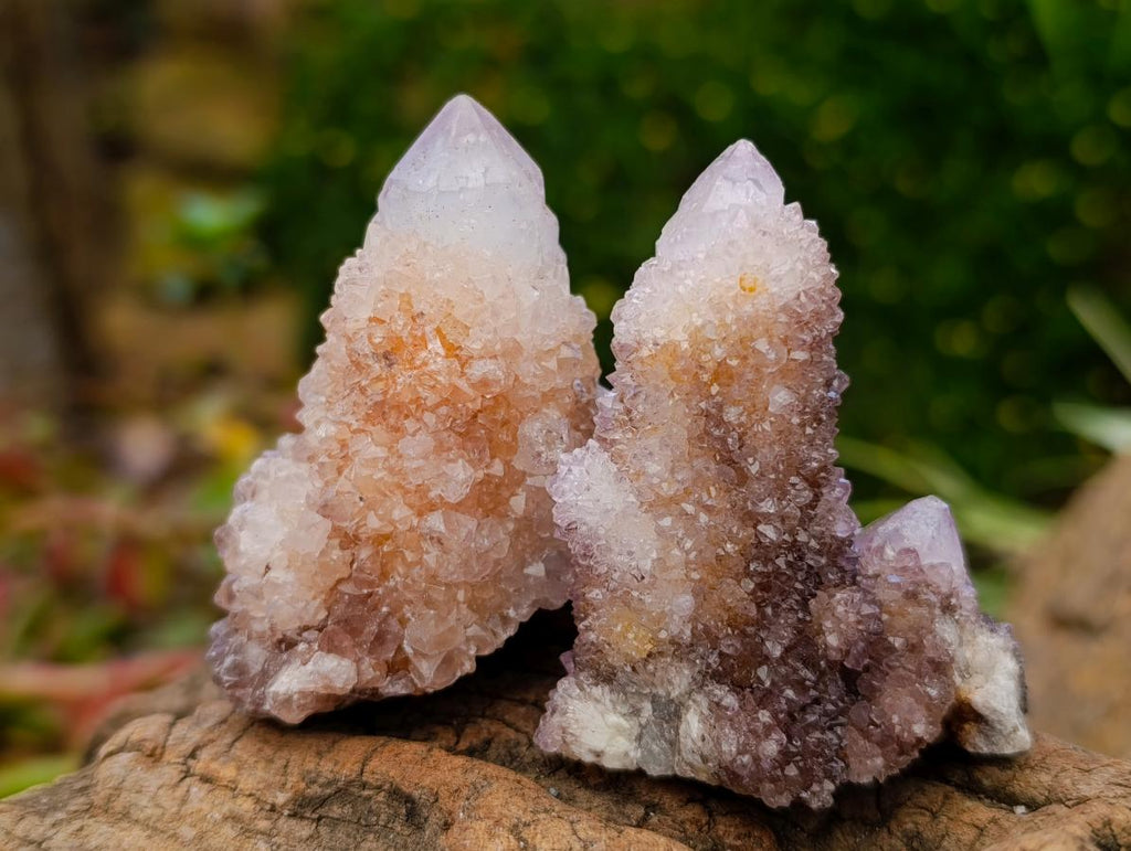 Natural Ametrine Spirit Quartz Crystal Clusters x 12 From Boekenhouthoek, South Africa